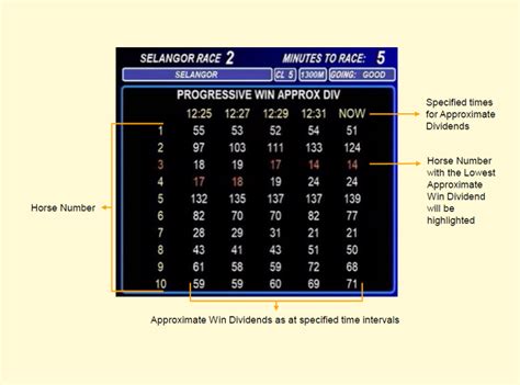 Betting Information Displays (Electronic Display System) .
